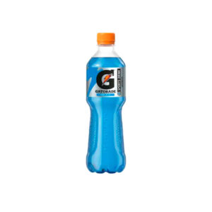 Gatorade 2 kpl